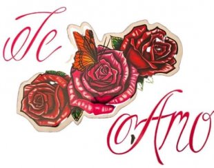 Flower logo 12*12 inches Iron On Transfer