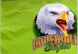Full-color logo Iron On Transfer